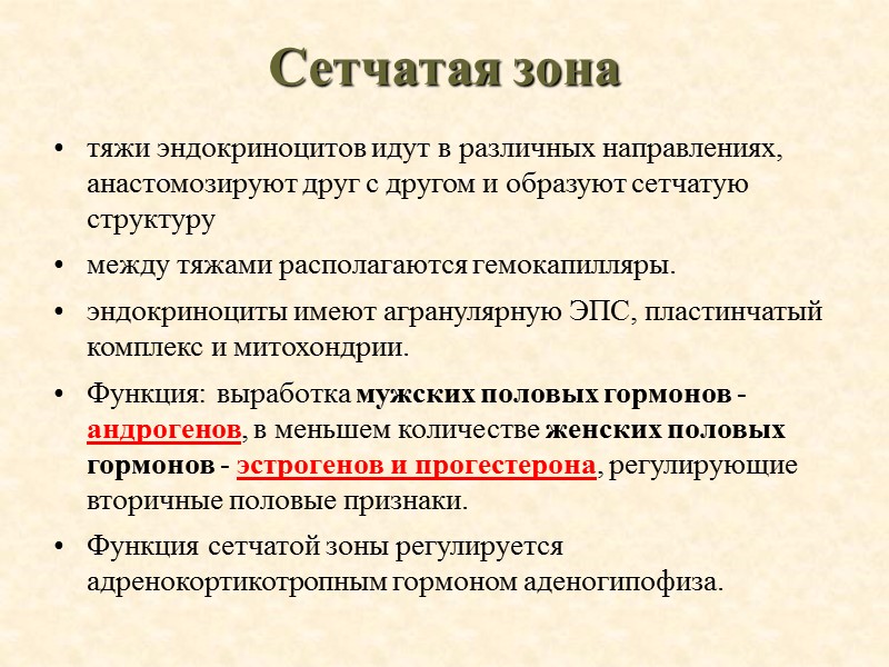 Сетчатая зона тяжи эндокриноцитов идут в различных направлениях, анастомозируют друг с другом и образуют